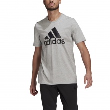 adidas Casual T-shirt Essentials Big Logo (100% Cotton) Grey Men